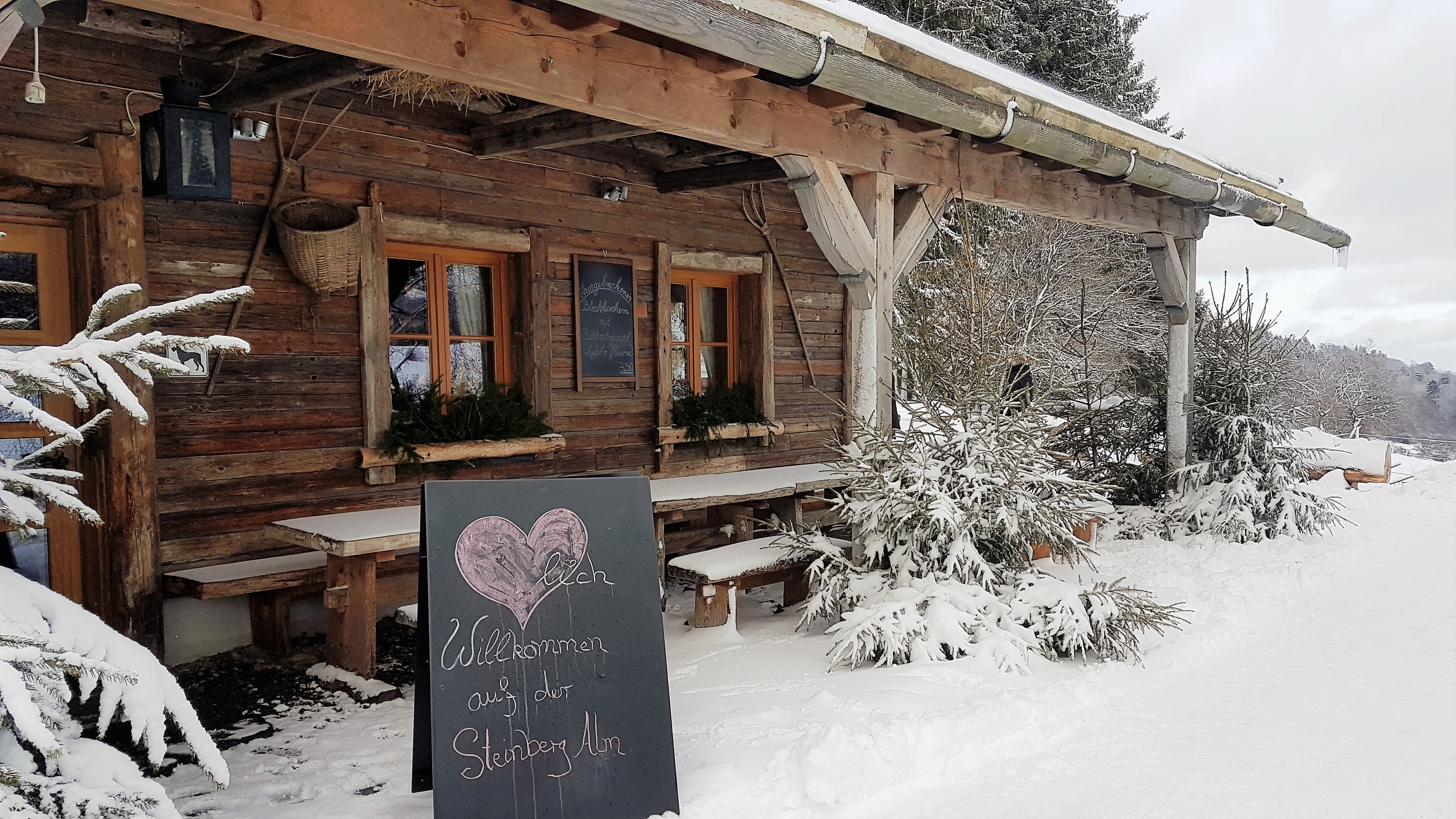 Elke Rott - Die Zeremonie - Freie Trauung im Harz - auf der Steinbergalm Goslar - Hochzeit auf Norddeutschlands schönster Alm 20170114 134723