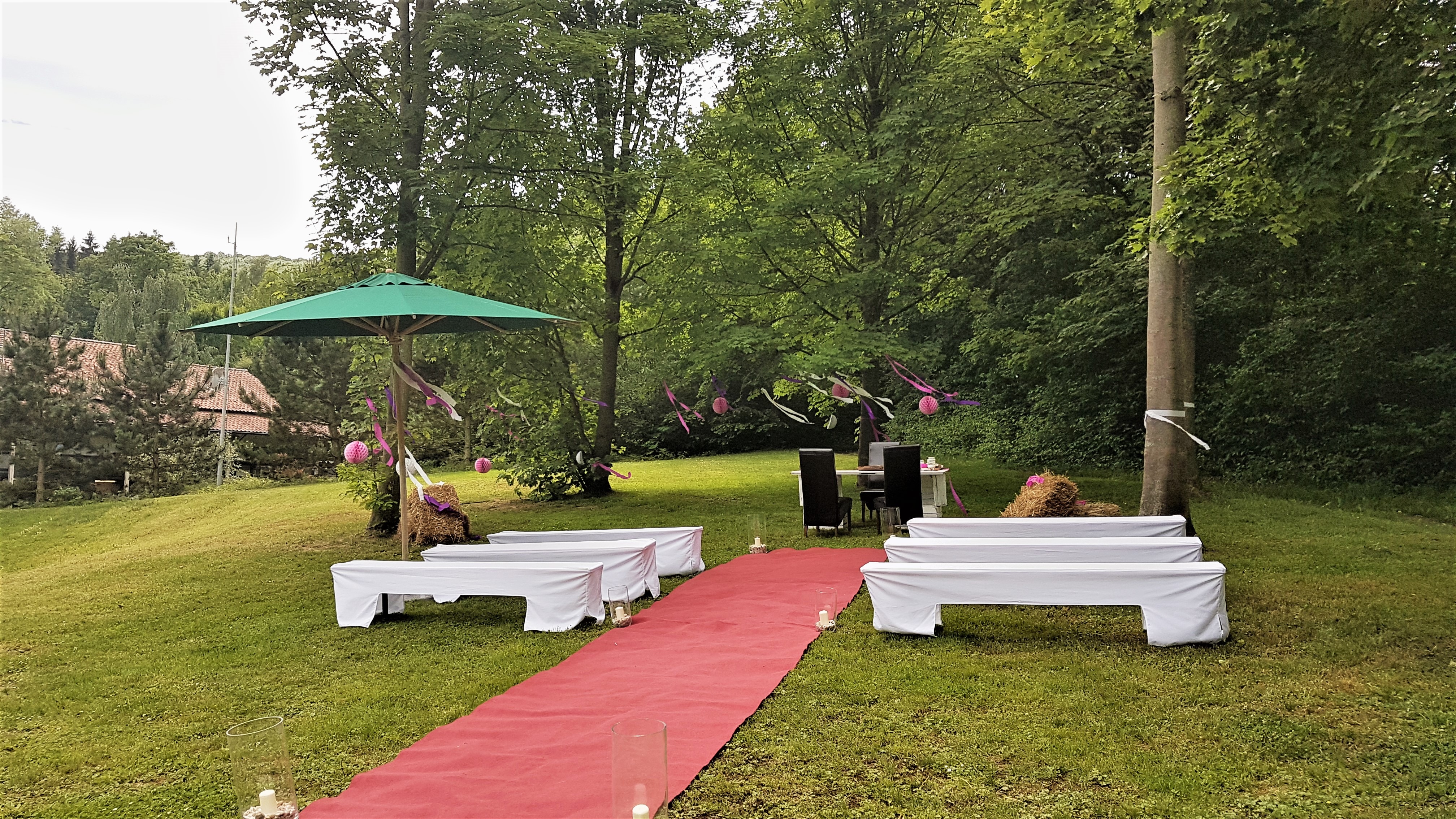 Elke Rott - Die Zeremonie - Freie Trauungen Hochzeit Trauung Northeim 20170611 152827