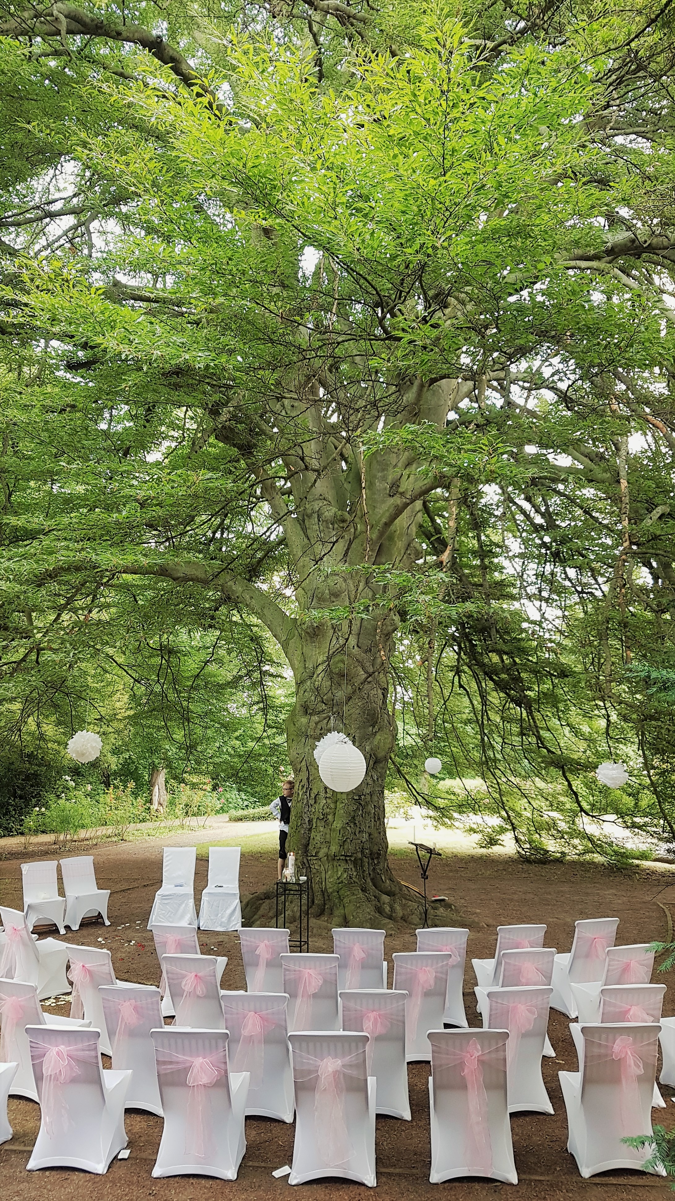 Elke Rott - Die Zeremonie - Freie Trauungen - Harz 20170617 180546 1