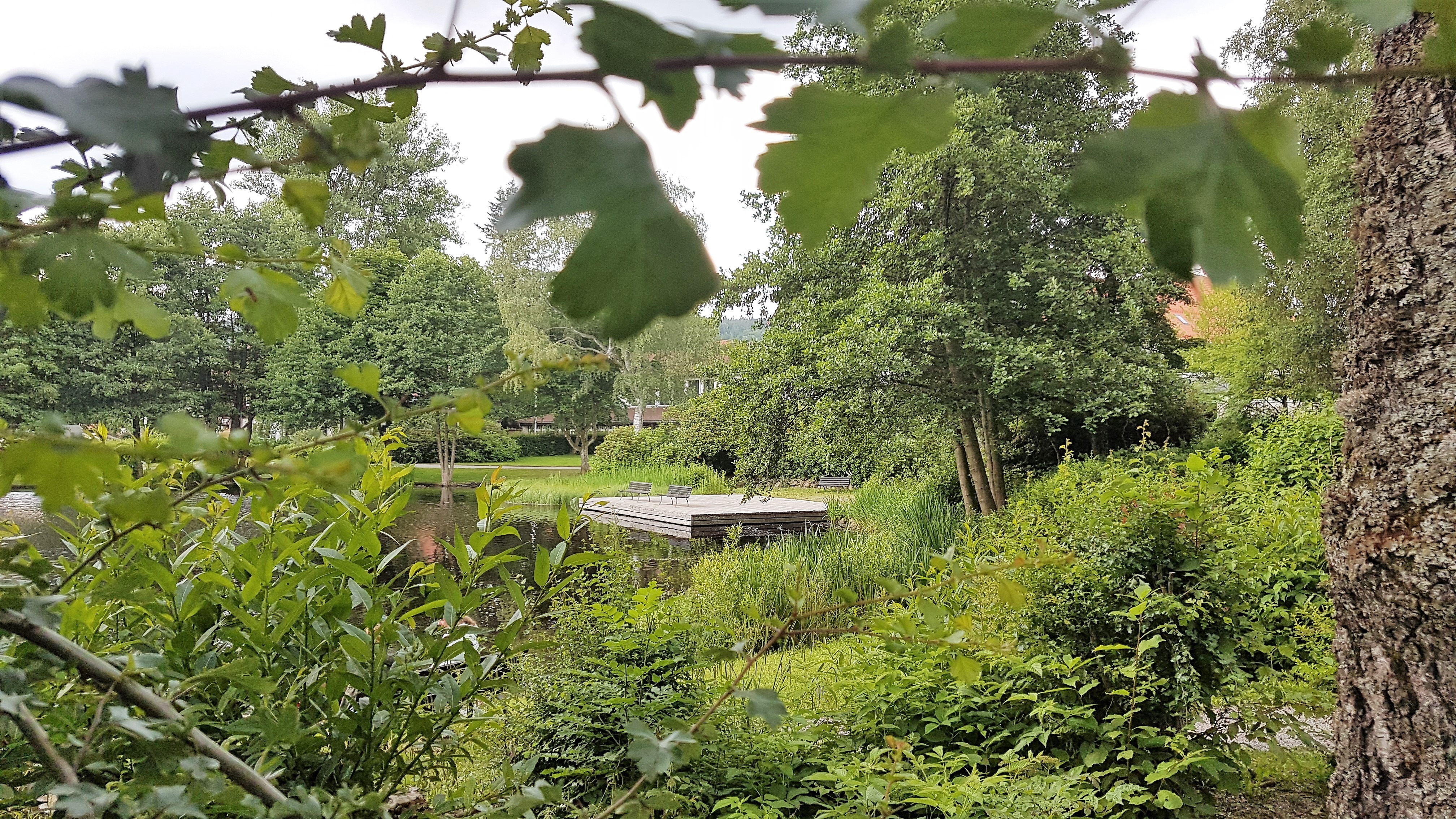 Elke Rott - Die Zeremonie - Freie Trauungen - Braunlage 20170705 171620