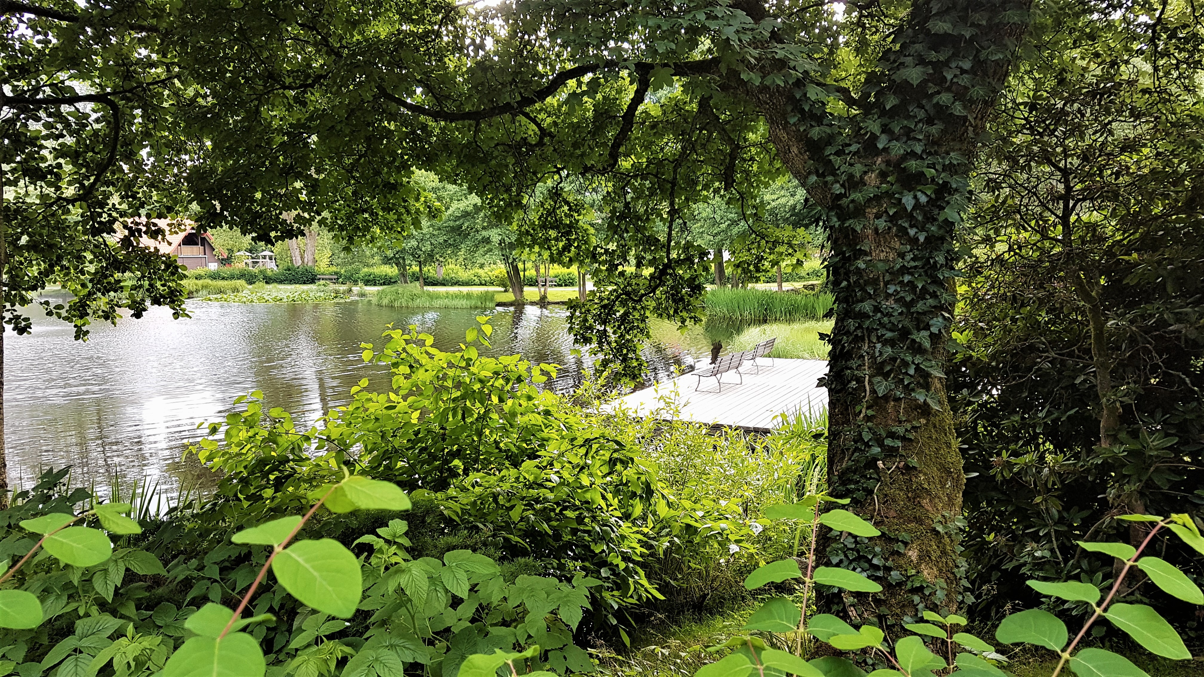 Elke Rott - Die Zeremonie - Freie Trauungen - Hochzeit * Trauung Braunlage 20170705 174527