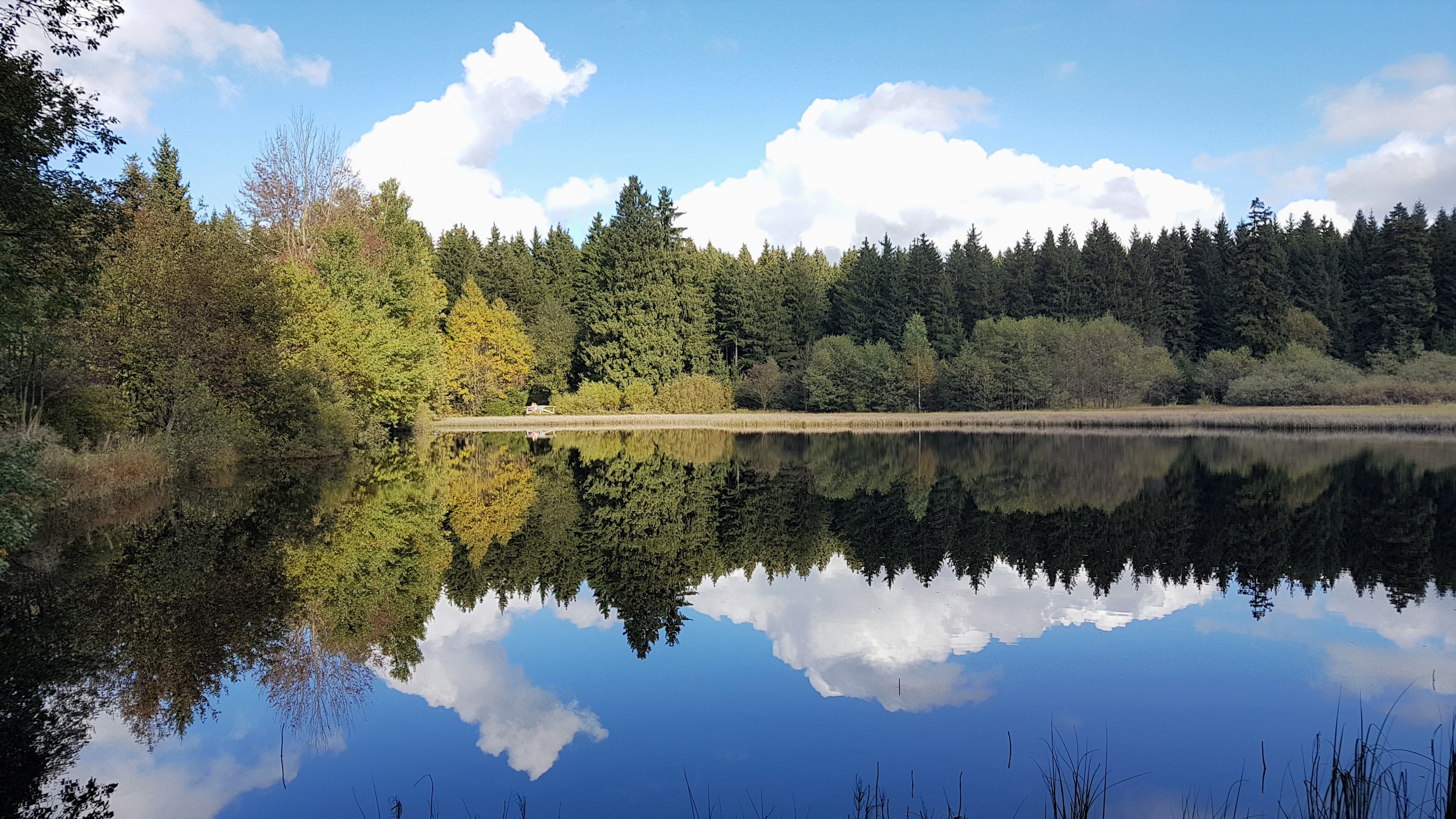 Elke Rott - Die Zeremonie - Freie Trauung - Harz See Berge 20171001 142453
