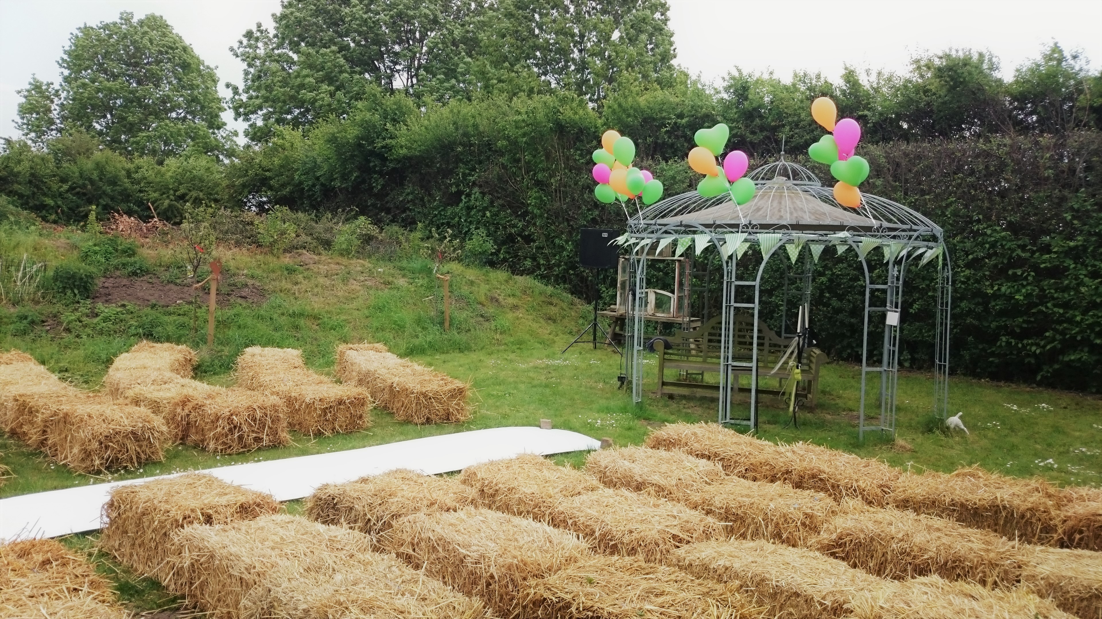 Elke Rott - Die Zeremonie - Freie Trauungen DSC 0019 5