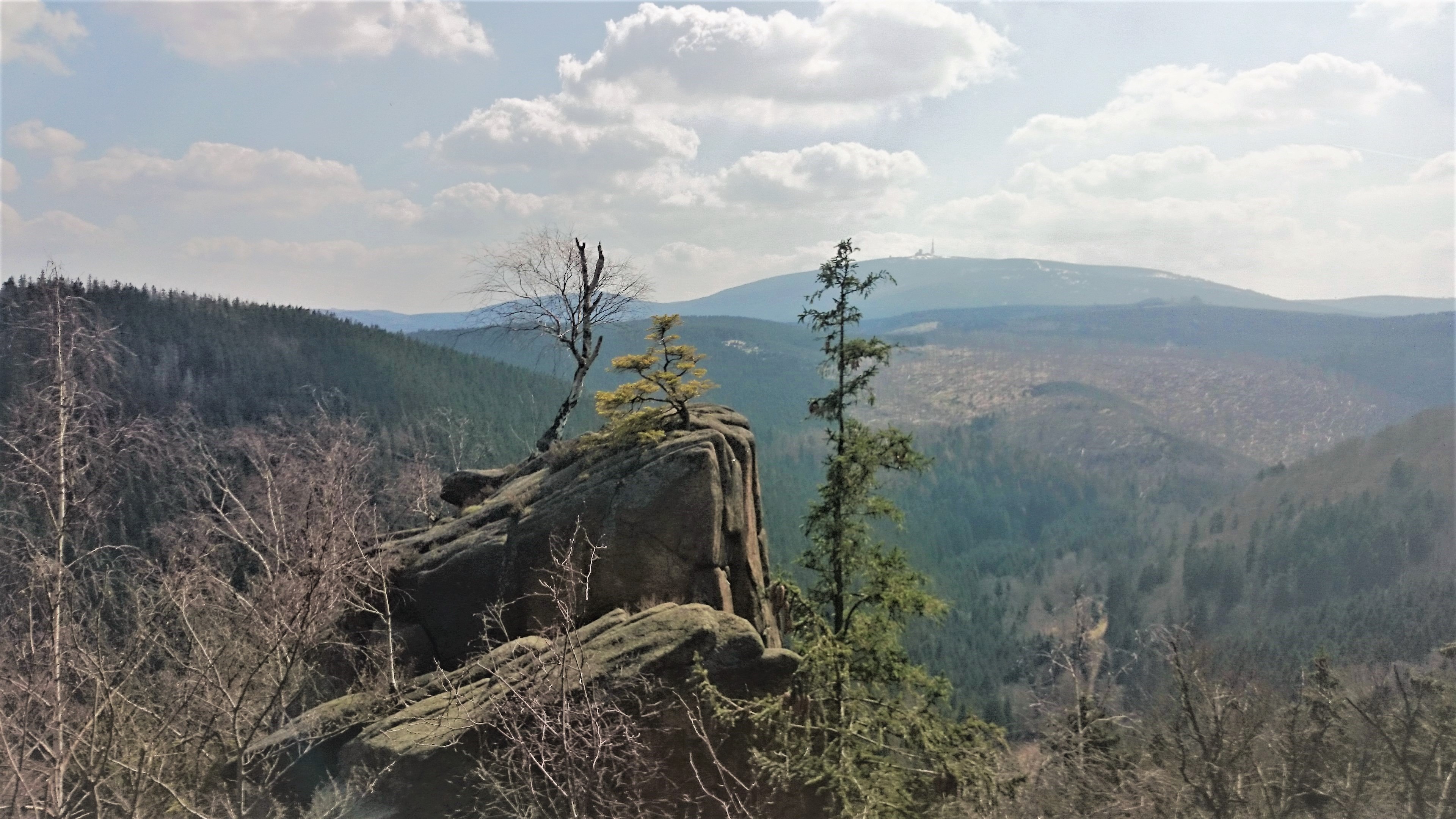 Elke Rott - Die Zeremonie - Freie Trauungen - Hochzeit - Harz DSC 0565II