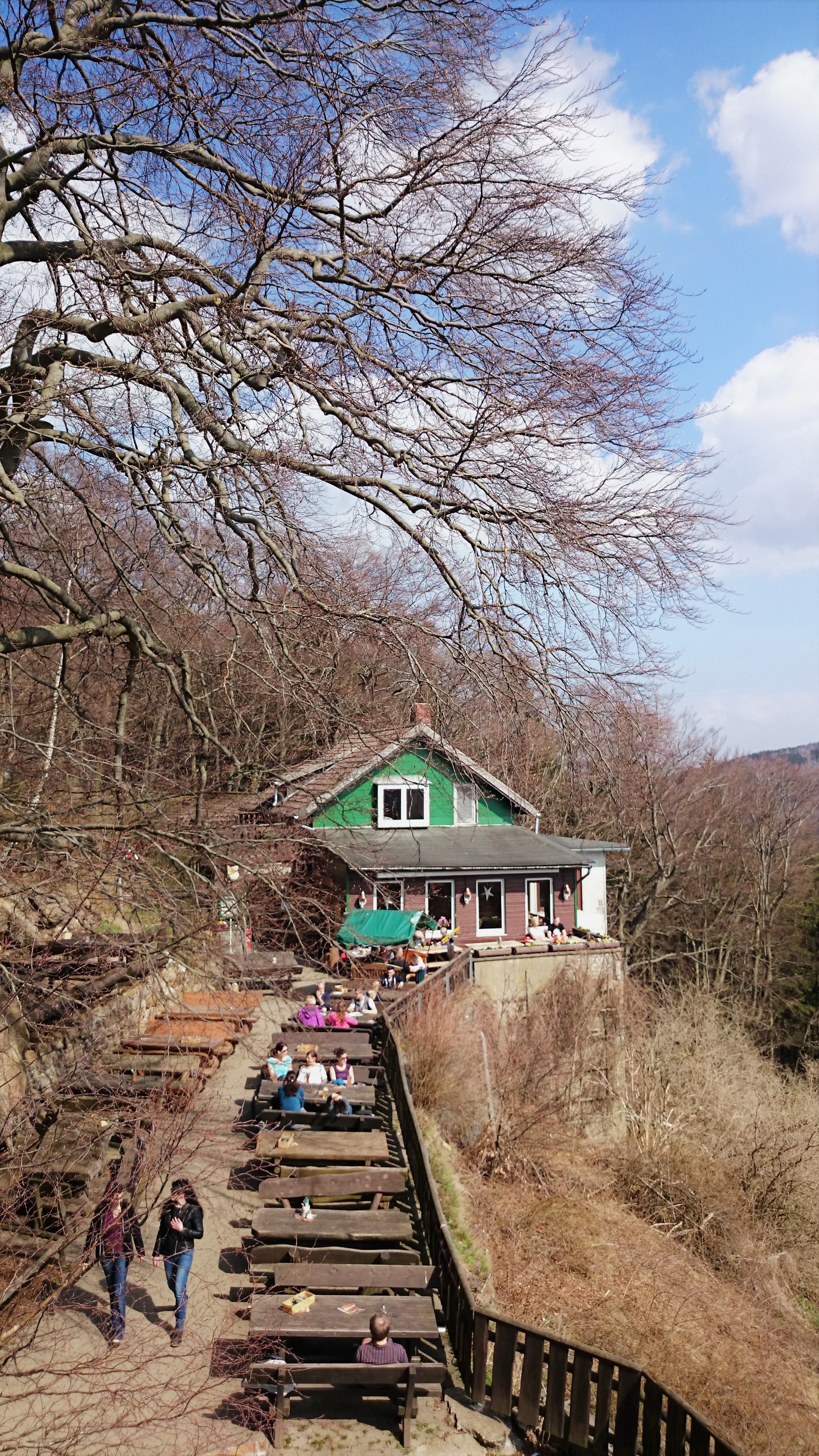 Elke Rott - Die Zeremonie - Freie Trauung - Hochzeit - Harzwald - Harz Gebirge Wanderfreunde DSC 0566