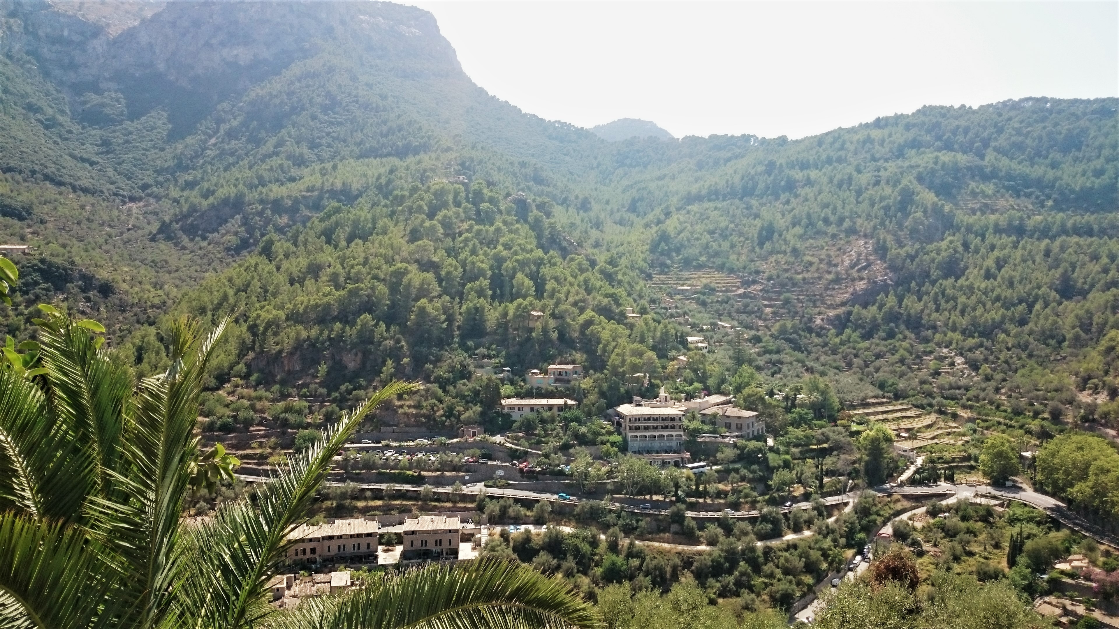 Elke Rott - Die Zeremonie - Freie Trauungen - Hochzeit * Trauung Mallorca DSC 1893