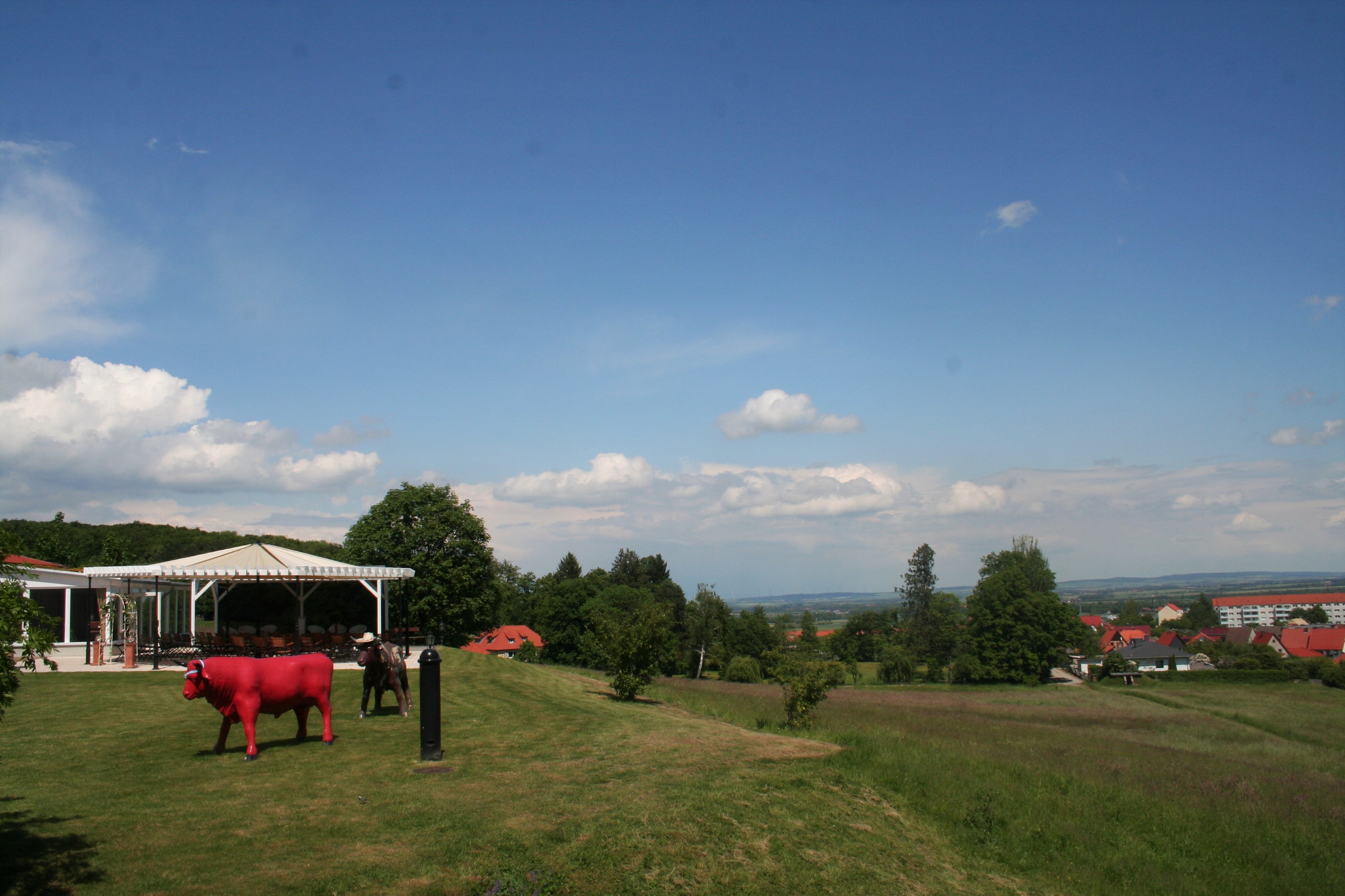 Elke Rott - Die Zeremonie - Freie Trauungen - Ilsenburg Harz IMG 0056