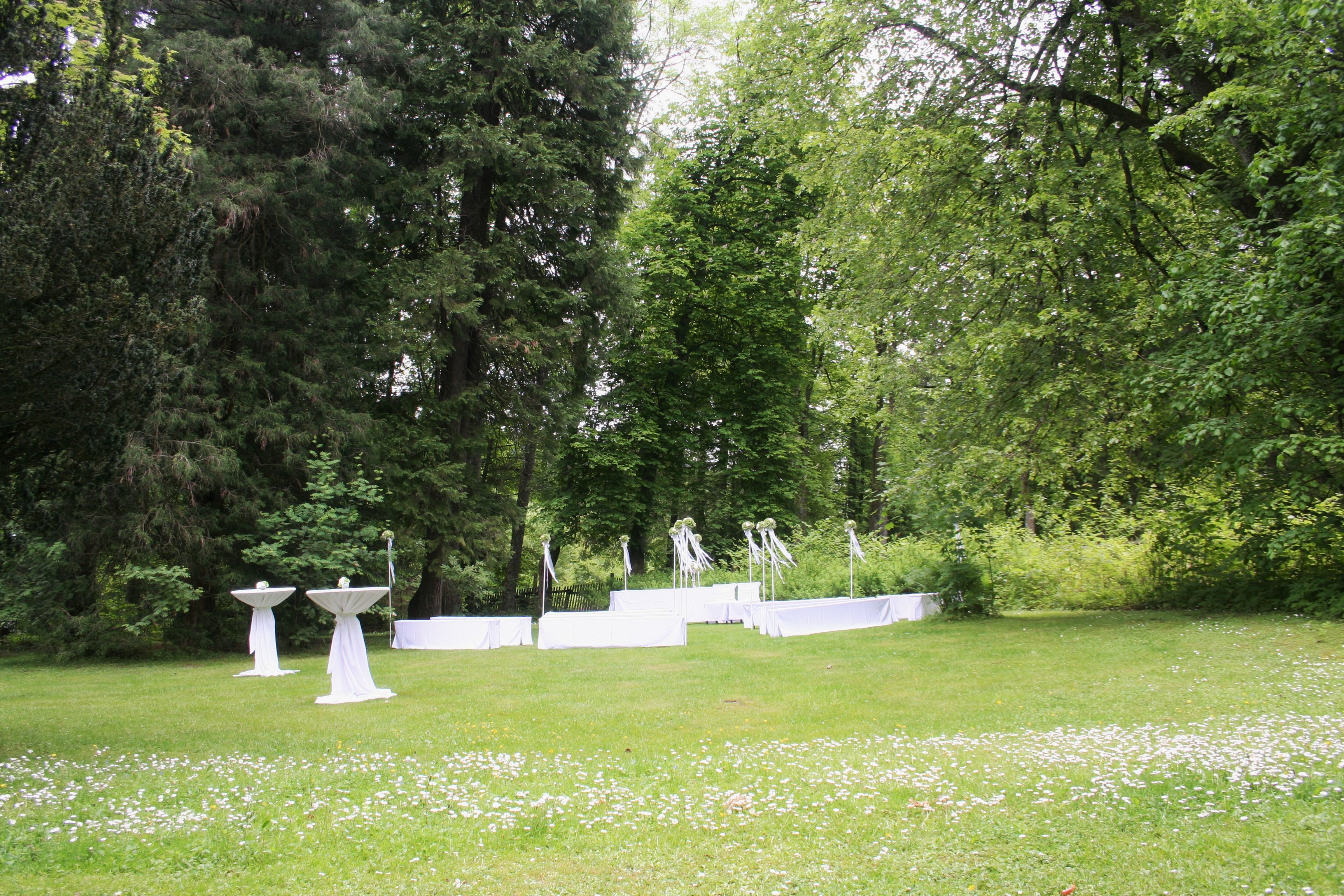 Elke Rott - Die Zeremonie - Hochzeit * Harz - Freie Trauungen - Buntenbock - Clausthal-Zellerfeld IMG 0227