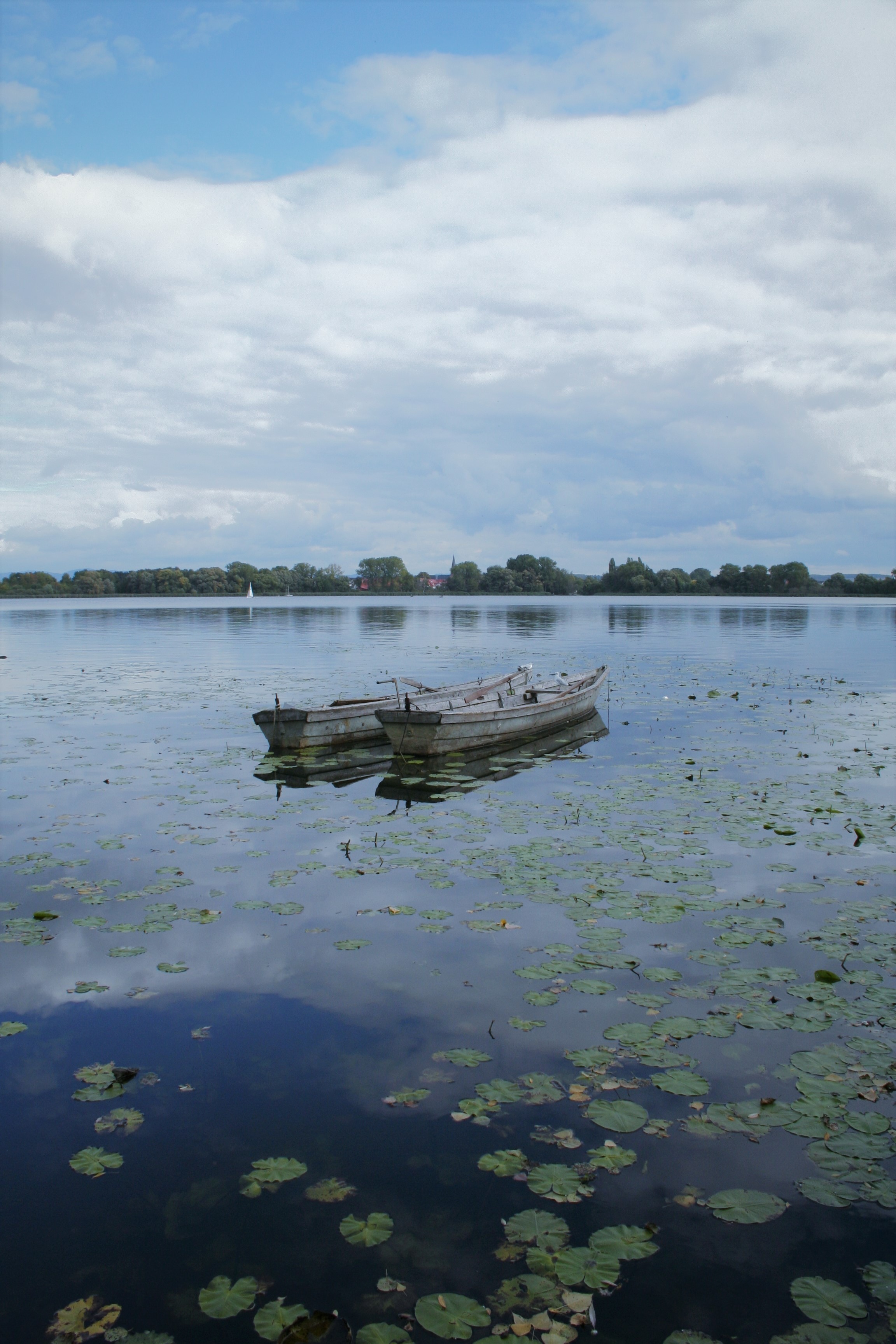 Elke Rott - Die Zeremonie - Freie Trauungen - Seeburger See Graf Isang IMG 0436