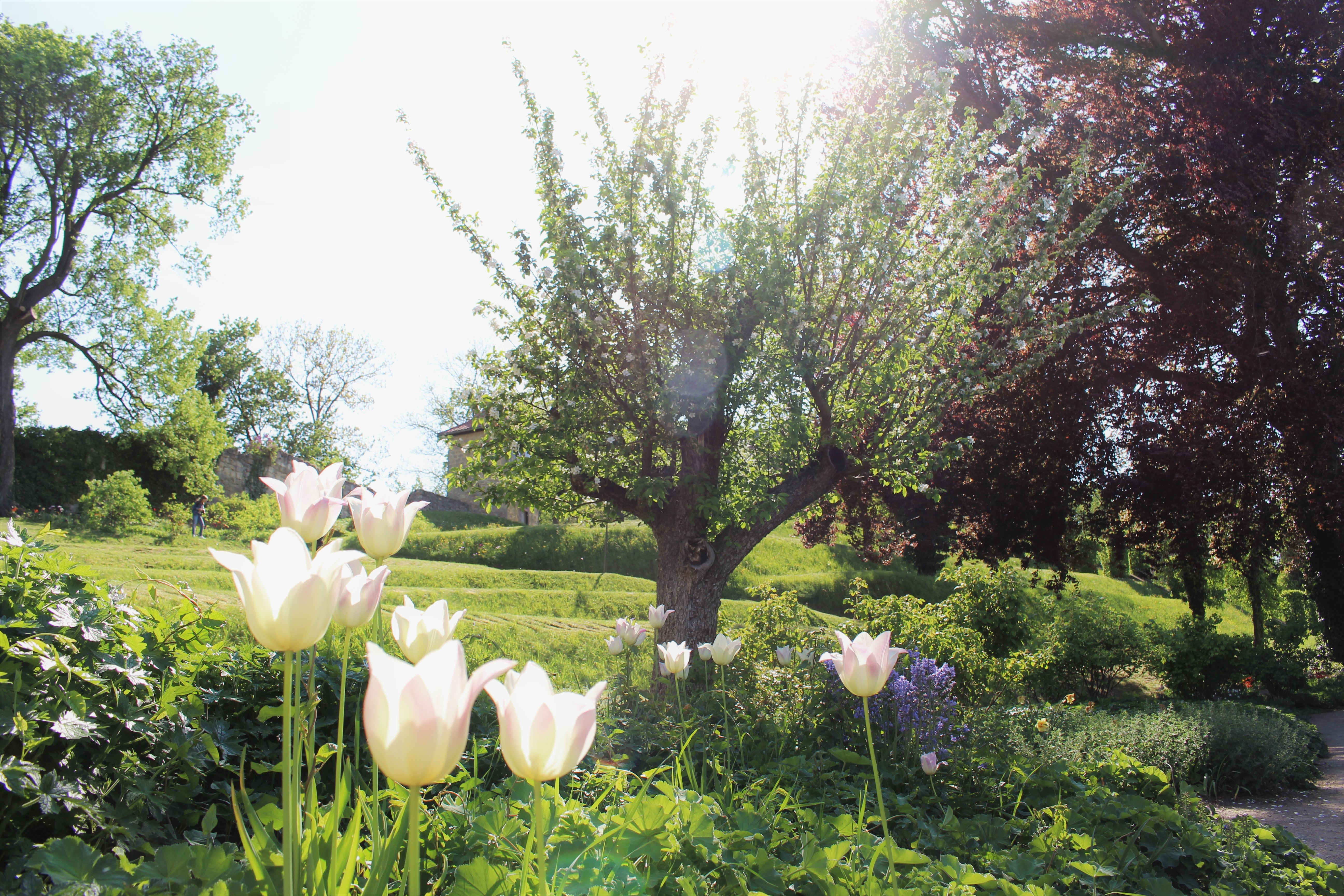 Elke Rott - Die Zeremonie - Freie Trauungen IMG 0974