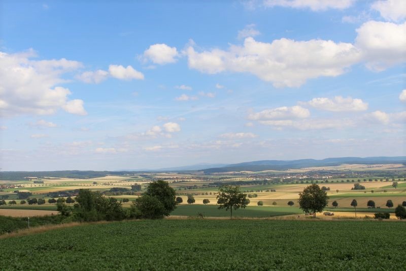 Elke Rott - Die Zeremonie - Freie Trauung - Bockenem Weinberg IMG 2051