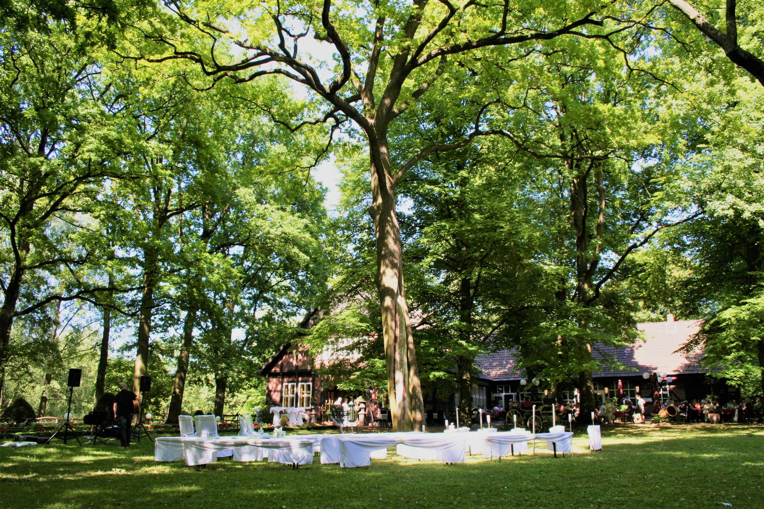 Elke Rott - Die Zeremonie - Freie Trauung - Hannover IMG 2734