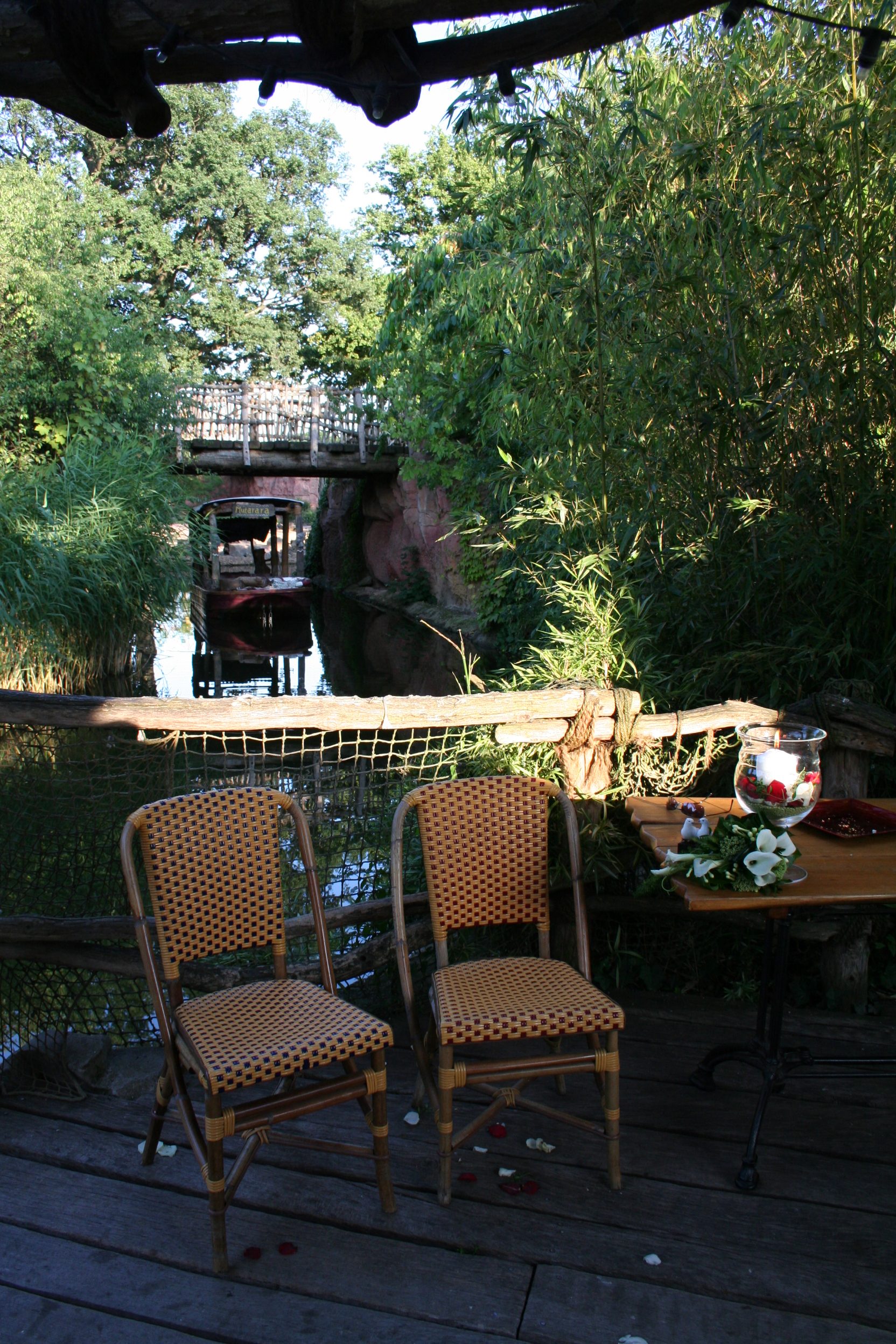 Elke Rott - Die Zeremonie - Freie Trauung * Hochzeit - Zoo Hannover IMG 6951 e1520887109701