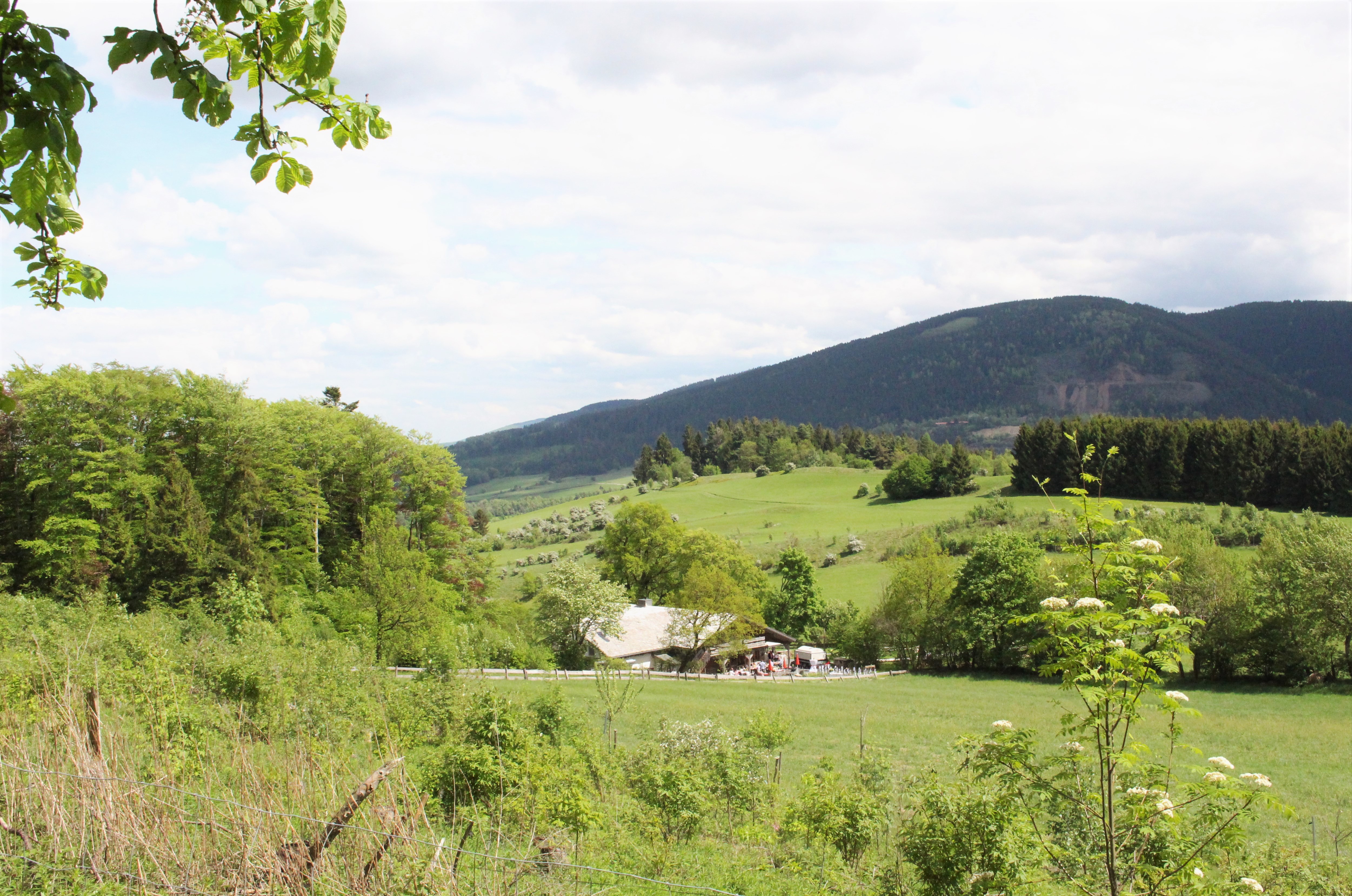 Elke Rott - Die Zeremonie - Freie Trauungen * Hochzeit * Trauung - Goslar