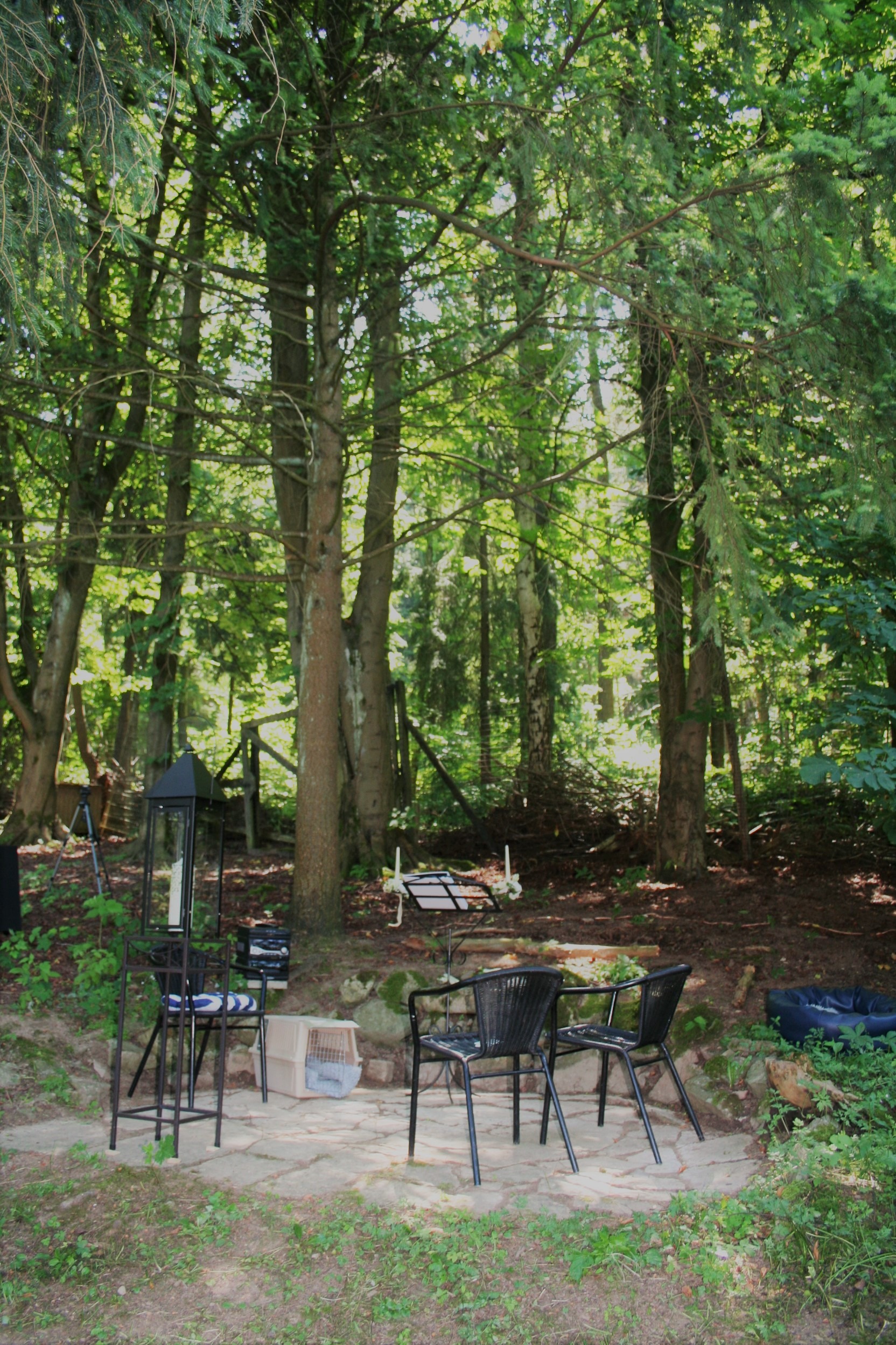 Elke Rott - Die Zeremonie - Freie Trauungen ehrlich 035