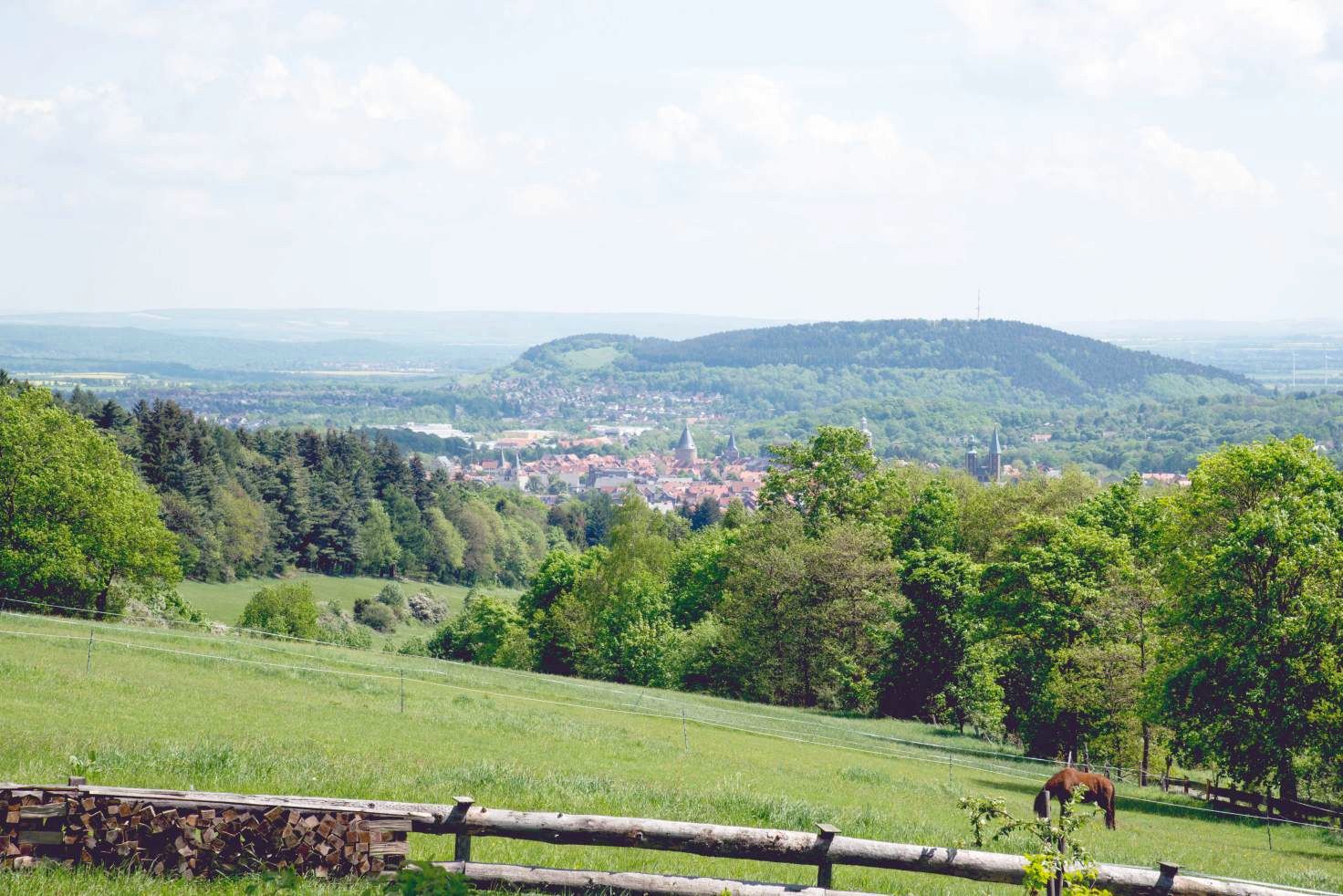 Elke Rott Freie Rednerin - Freie Trauungen - Die Zeremonie - Hochzeit im Harz - Steinberg Alm Goslar
