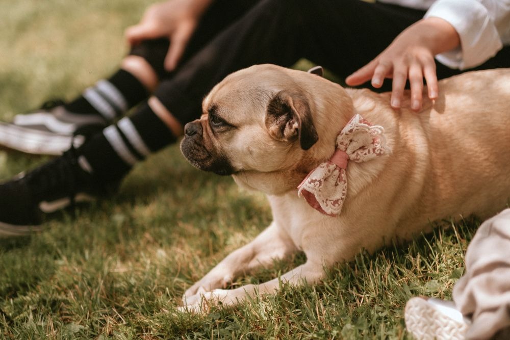 Freie Trauung & Hochzeit Osterode Harz - Elke Rott * Die Zeremonie - Foto nicofriedrichsfotografie.de