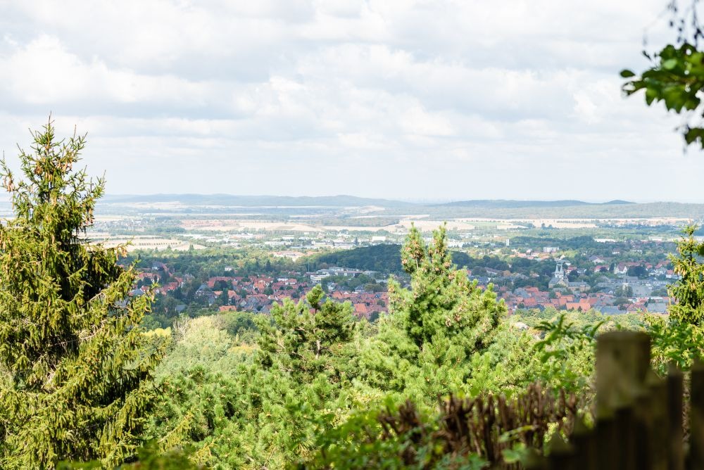 freie-trauung_heiraten_hochzeit_goslar_elke-rott_foto-jörg-schridde_1_