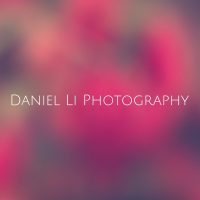 Daniel Li Photography