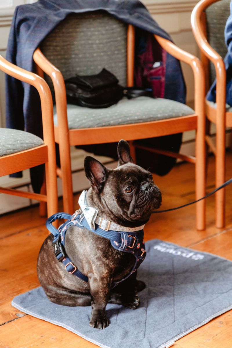 freie trauung hochzeit clausthal harz foto daniel li 47